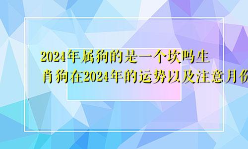 2024年属狗的是一个坎吗生肖狗在2024年的运势以及注意月份