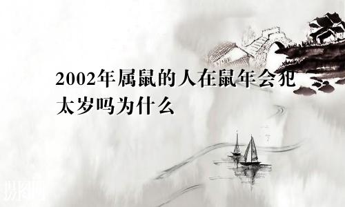 2002年属鼠的人在鼠年会犯太岁吗为什么
