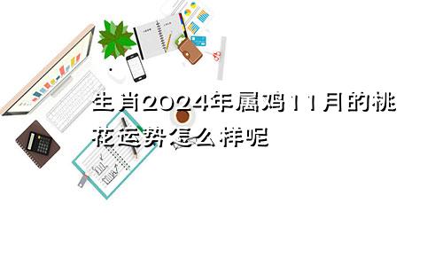 生肖2024年属鸡11月的桃花运势怎么样呢