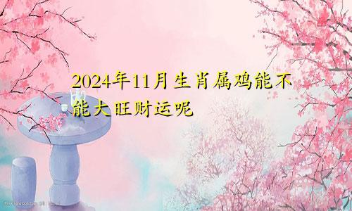 2024年11月生肖属鸡能不能大旺财运呢