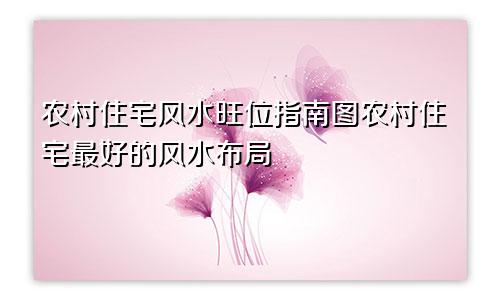 2024年属狗的11月会有桃花运吗为什么