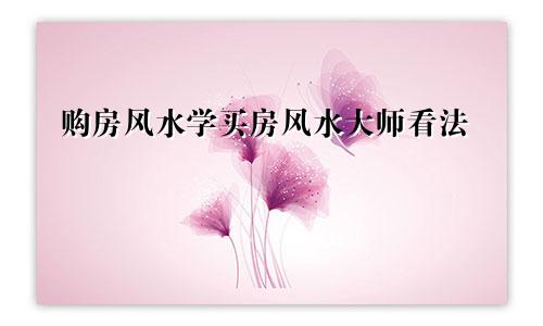 购房风水学买房风水大师看法
