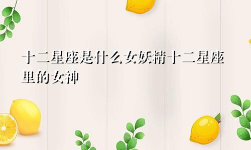 十二星座是什么女妖精十二星座里的女神