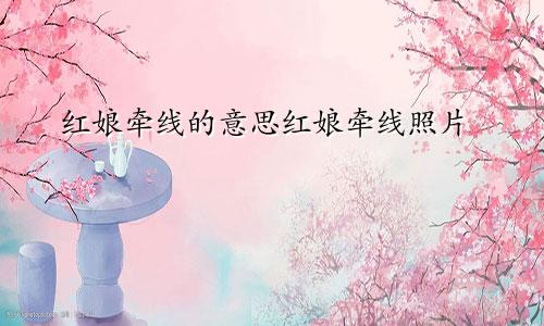 红娘牵线的意思红娘牵线照片