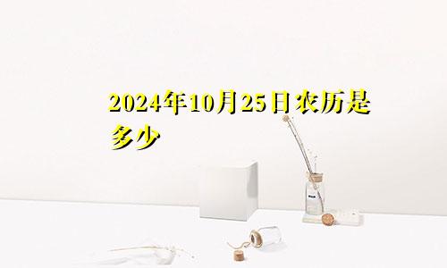 2024年10月25日农历是多少