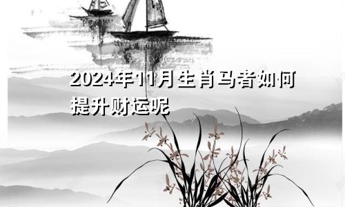 2024年11月生肖马者如何提升财运呢