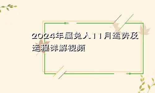 2024年属兔人11月运势及运程详解视频