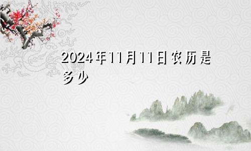 2024年11月11日农历是多少